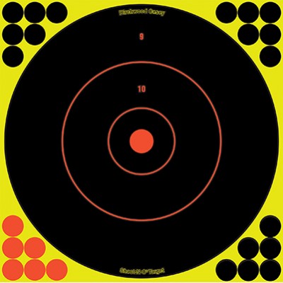 Birchwood Casey Shoot-N-C 12" Bull's Eye Target