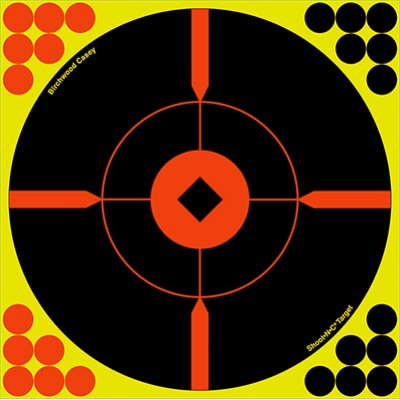 Birchwood Casey Shoot-N-C 8" Round "X" Value Target