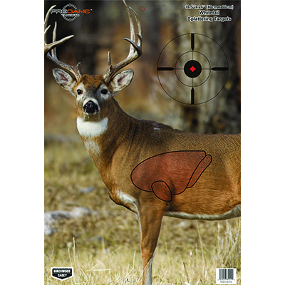 Birchwood Casey PreGame 16.5"x24" Whitetail Deer Target