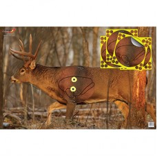 Birchwood Casey EZE-Scorer 23"x35" Whitetail Deer Paper Target - 2 Targets & 2 Overlays