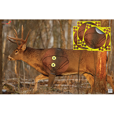 Birchwood Casey EZE-Scorer 23"x35" Whitetail Deer Paper Target - 2 Targets & 2 Overlays