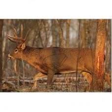 Birchwood Casey EZE-Scorer 23"x35" Whitetail Deer Paper Target x 2