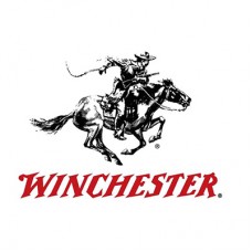 Winchester AR 308 Pull Through Cleaning Kit