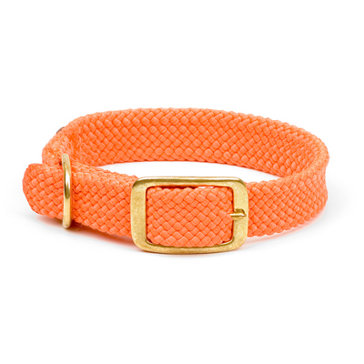Mendota Double-Braid Junior Collar - Orange with Brushed Nickel Hardware 9/16" up to 14"