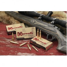 Hornady 204 Ruger 24gr Non-Toxic Superformance Varmint Ammunition Box of 20