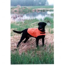 Mendota Coat - Orange - Small