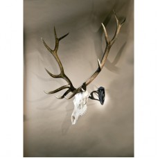 Skull Hooker Big Hooker for Large Game in Brown