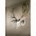 Skull Hooker Big Hooker for Large Game in Brown