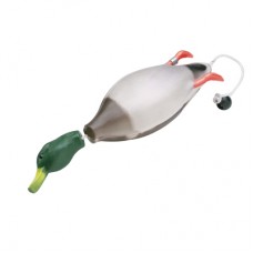 Dokken Dead Fowl Mallard